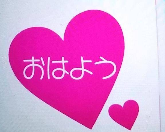 おはようございます(*^^*)