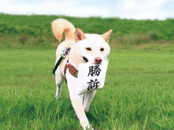 さやか【PREMIUM】