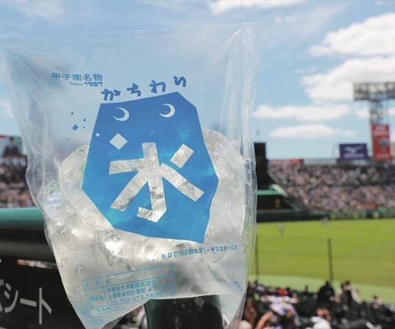 乾坤一擲