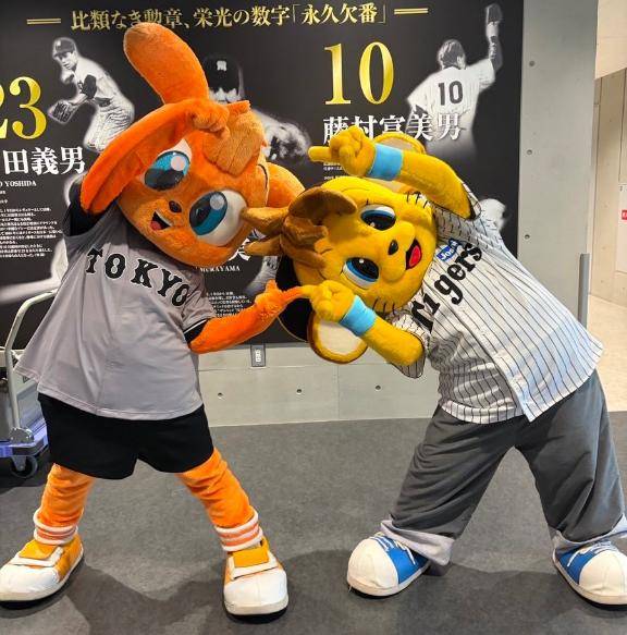 フュージョン