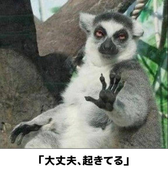 さやか【PREMIUM】