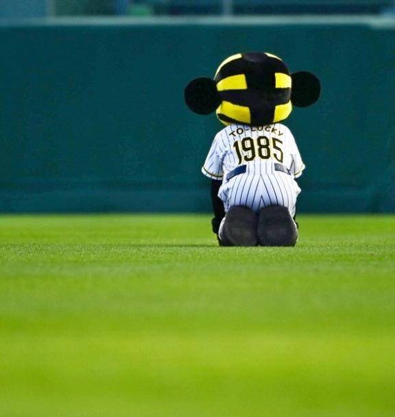 さやか【PREMIUM】