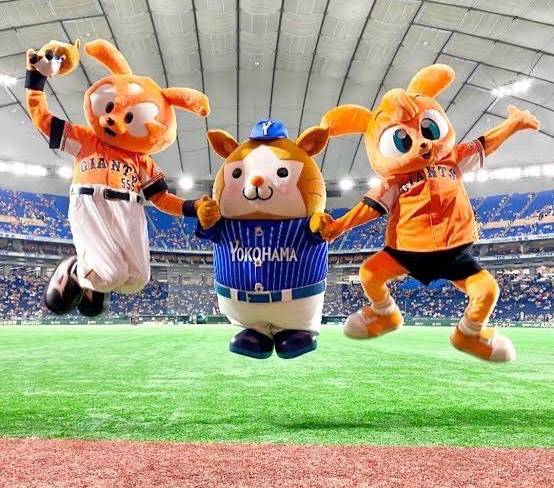 さやか【PREMIUM】
