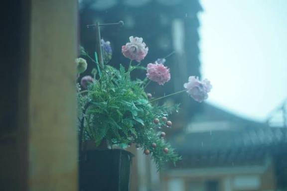 さやか【PREMIUM】
