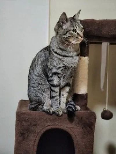  当店は女性ファーストのグループ店です(^^♪