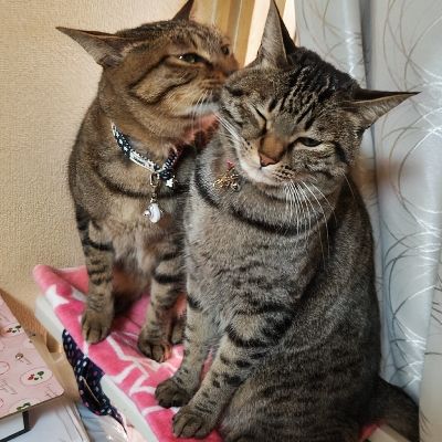 次に目指すは(^^♪