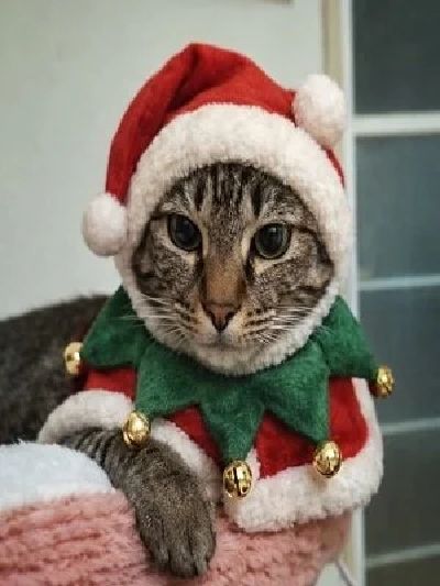 2026年も沢山のご縁を募集中です(^^♪