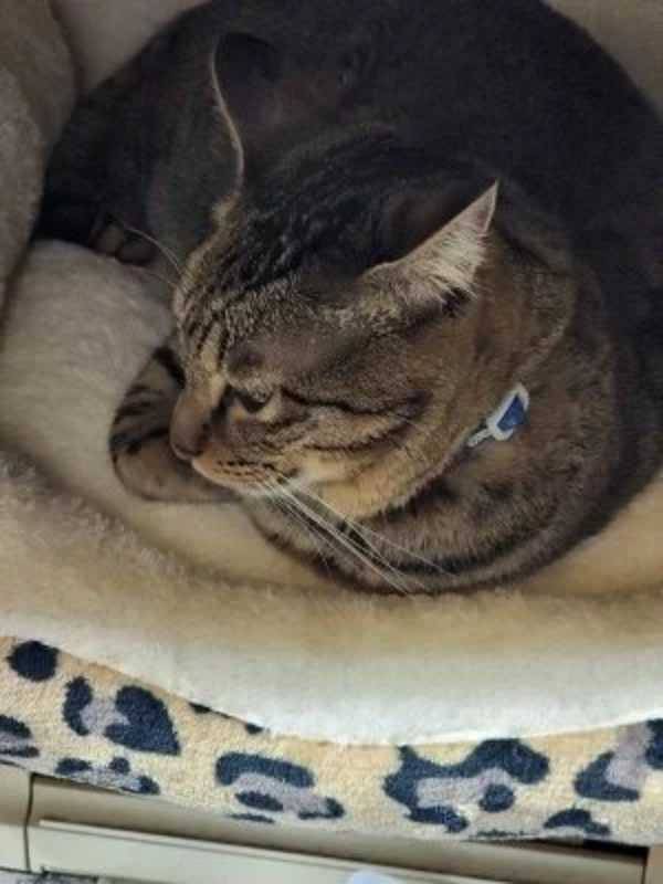 コンプライアンス違反は絶対しないです(^^♪