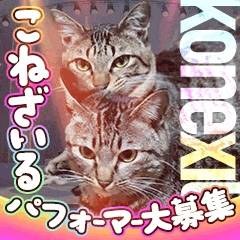 ストレス発散はカラオケ(笑)