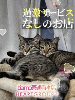 求人に関して嘘無しでやってきたから今日がある