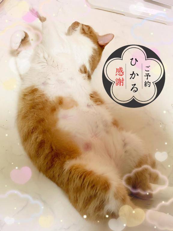 ご予約感謝です！