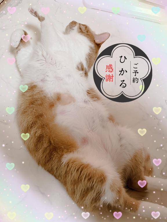 事前予約、感謝です！