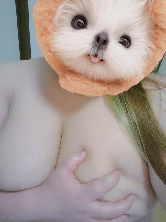 ただいま