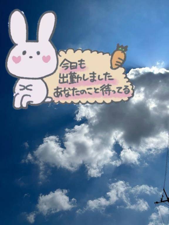 今日も、めっちゃ晴れですね