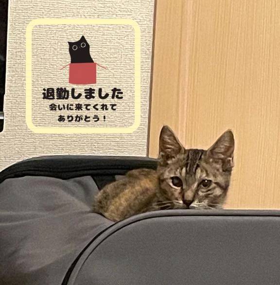 退勤しました笑