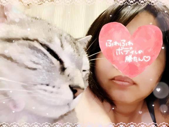 猫という生き物は....