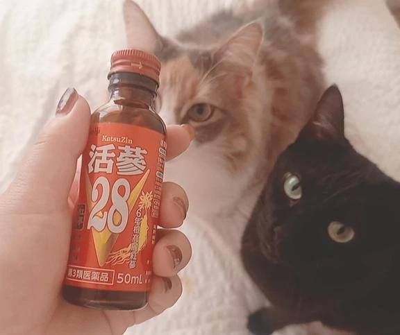 ごめんなさい。。