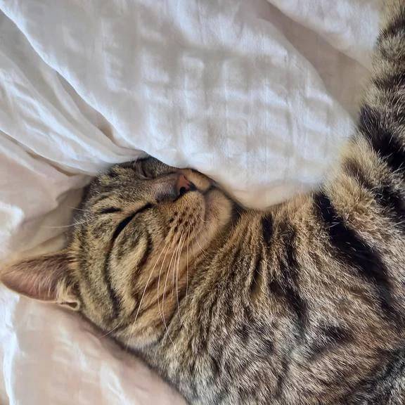 退勤しました(*´ー｀*)