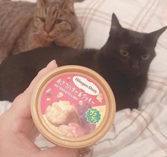 絶対美味しい(*´ー｀*)