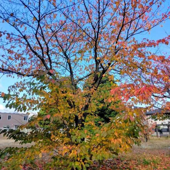 お久しぶりです?