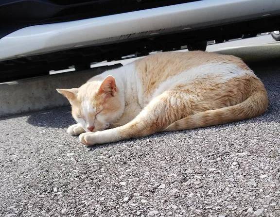 有難うございました★