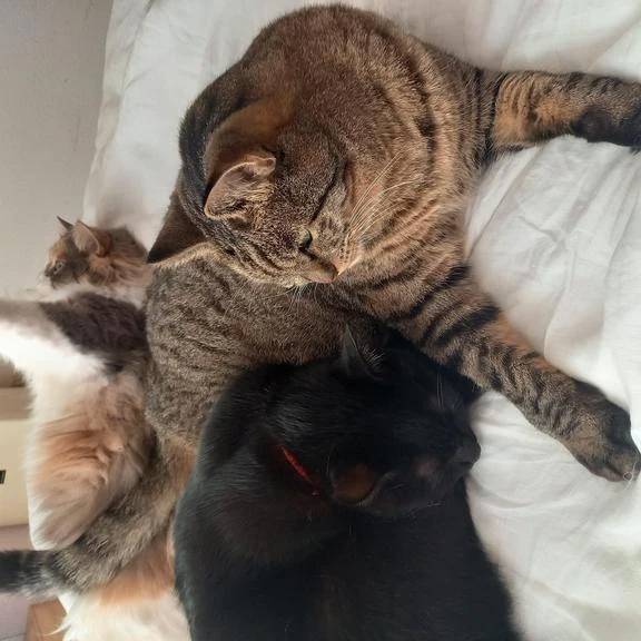 一難去って、また一難。。