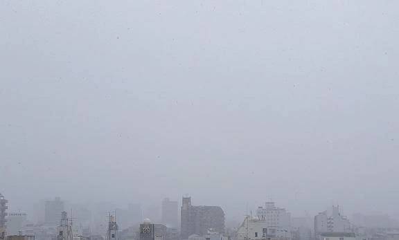 雪。