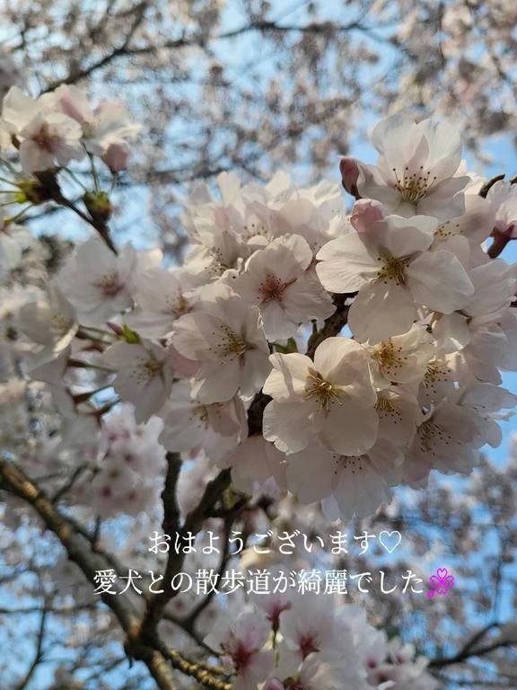 寄り道コースで♪