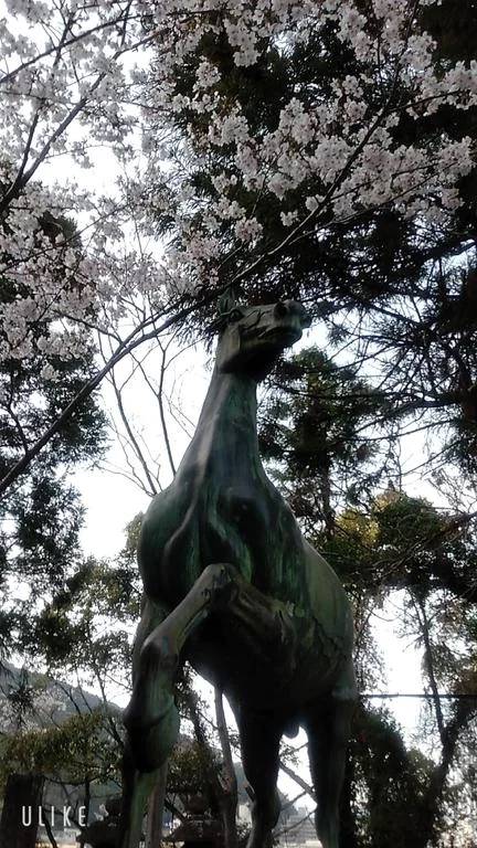 もも（香川高松ちゃんこ）