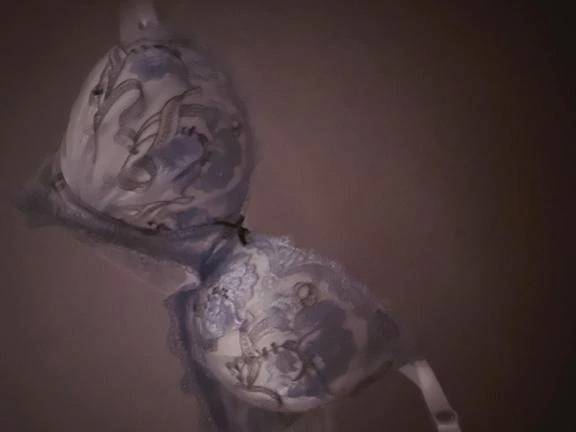 本日お休みです