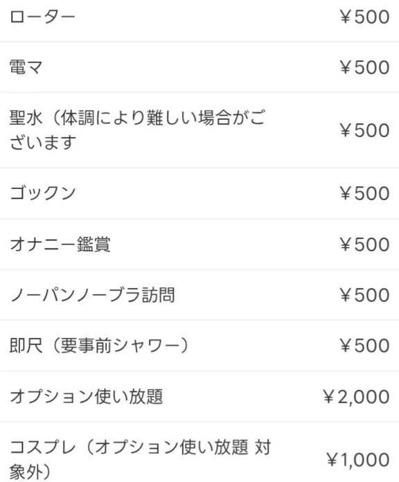 可能オプション＆派遣先