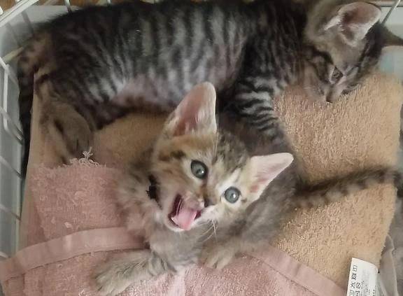 おはようございます(*´ω`*)