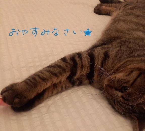 出勤時間を変更しました(*^^*)