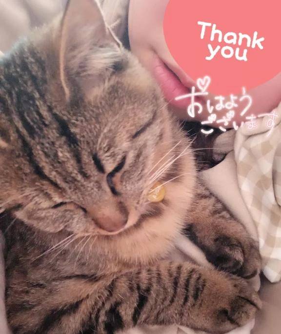 おはようございます(*´▽｀*)
