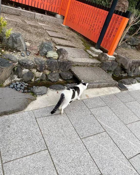 ゆの おれい
