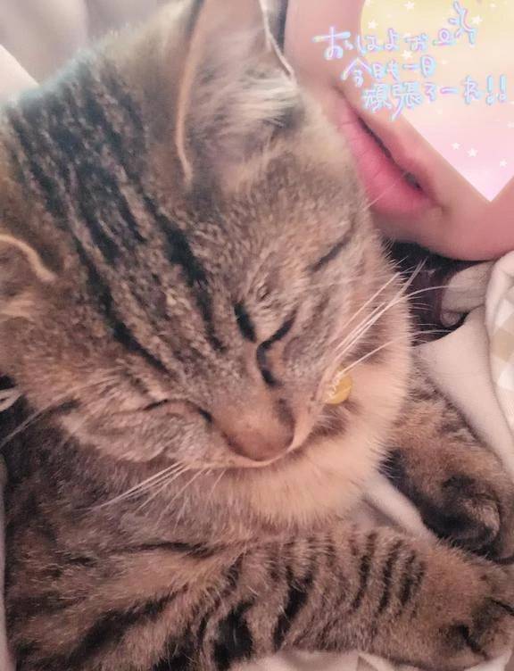 暑ーい(*´д`*)