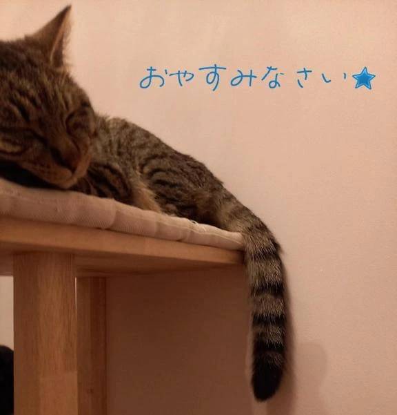 眠れなーい?