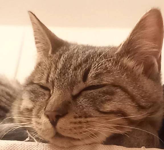 ありがとうございました(*´ω`*)