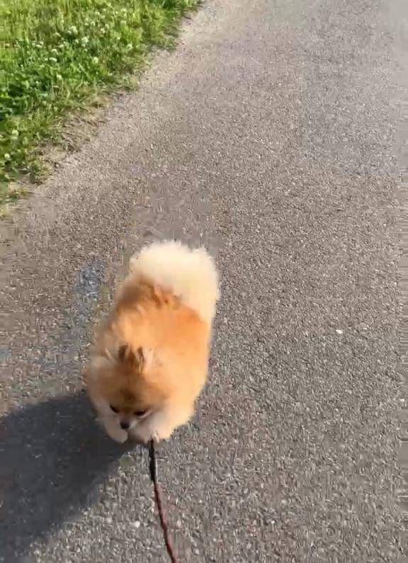 ご予約♡