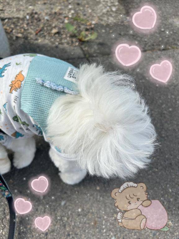 夢中なもの🍌♡