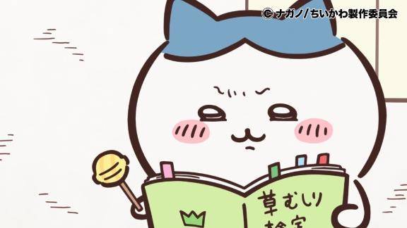 ポンコツ女です₍ᐢ.̫.ᐢ₎