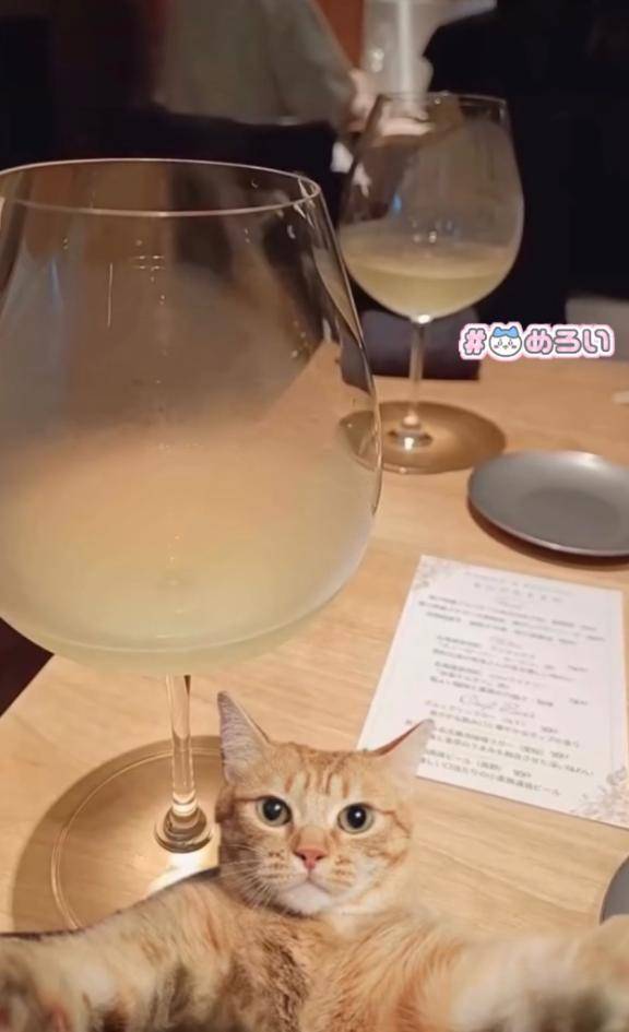 勿論ア♡レ♡
