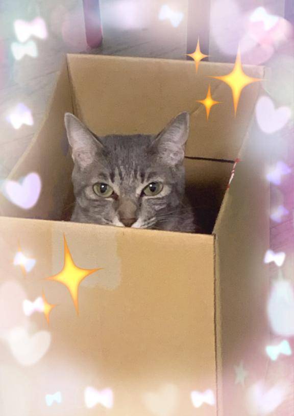 ひょっこり💕
