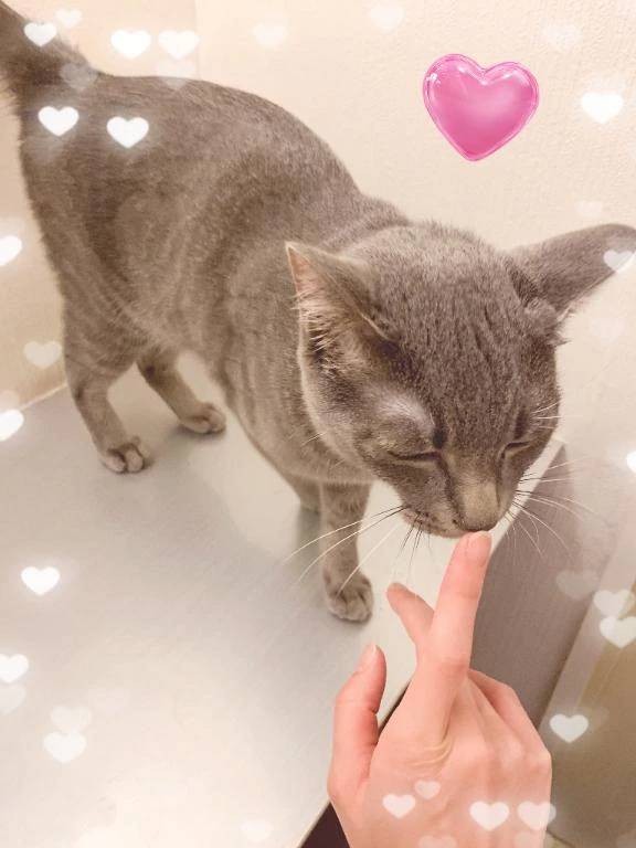 にゃん💕