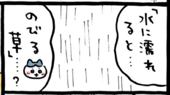焦げたかな？