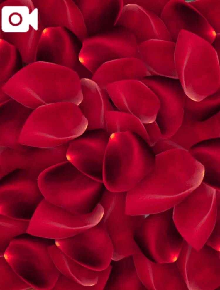 ミスヘブンへの意気込み