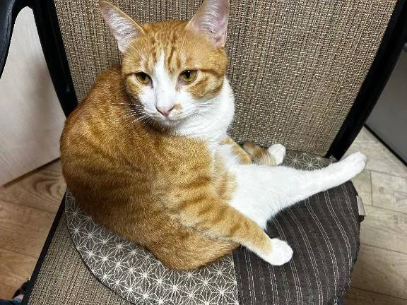 くつろぎの空間