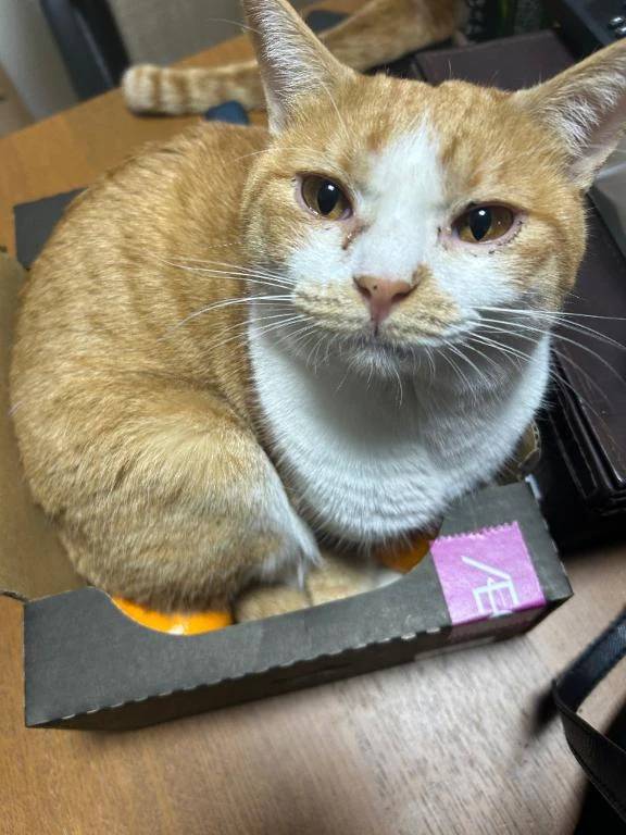 出会いは突然に♡？笑