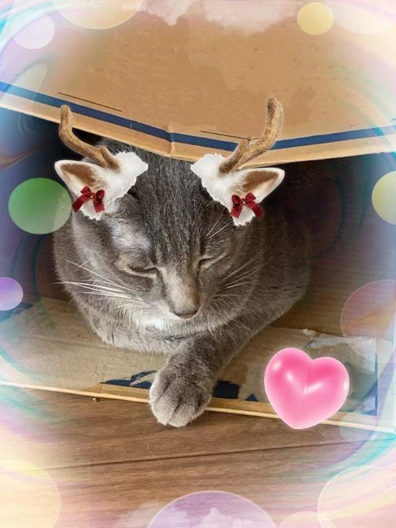 やっぱりこの中が💤