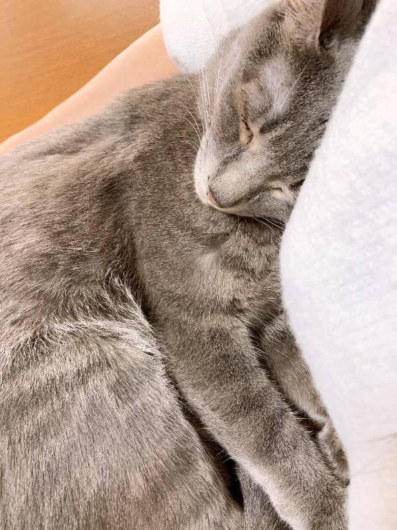 お昼寝タイムに…